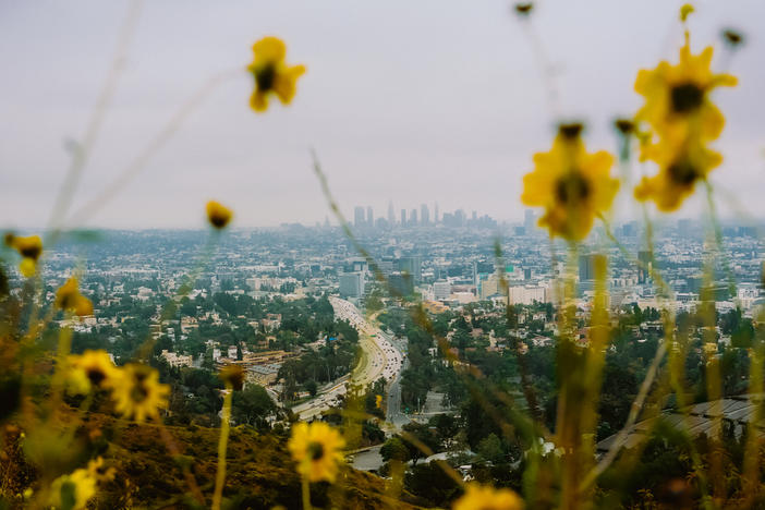 The view from the Jerome C. Daniel Overlook on Mulholland Drive.