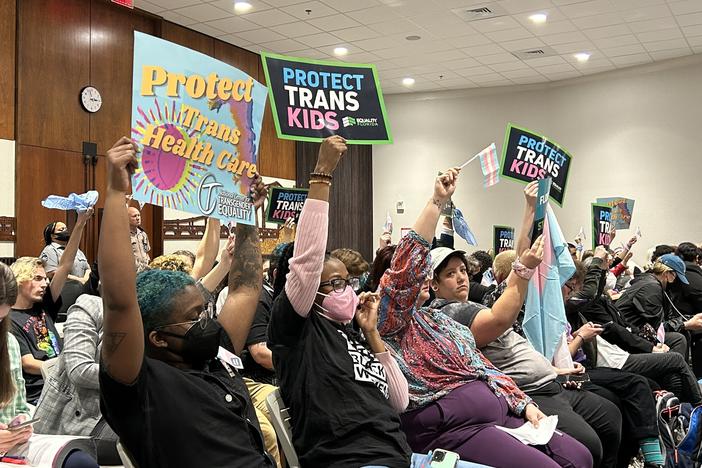 Trans-rights supporters filled a meeting of Florida's medical boards on Feb. 10, 2023 in Tallahassee. The boards voted to approve rules banning gender-affirming care for transgender youth, rules later codified by the state legislature.