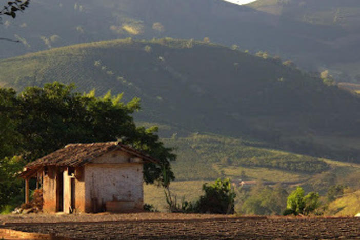 Coffee fruit dries in the late-afternoon sun on a farm in the Brazilian state of Minas Gerais.