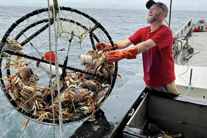 Deckhand Justin Middleton pulls in a crab trap off San Francisco, where new pop-up fishing gear is being piloted.