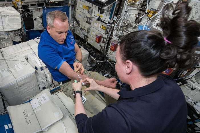 Canadian astronaut David Saint-Jacques has his blood sampled on board the International Space Station for an experiment that examines the space-related changes that occur in blood and bone marrow.