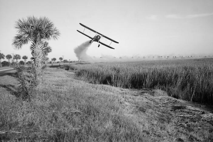 Even though the U.S. said it eliminated malaria in 1951, efforts have continued to keep the disease at bay. Above: A Stearman biplane sprays insecticide during malaria control operations in Savannah, Georgia in 1973.