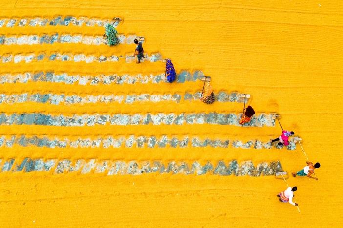 Rice mill workers start their day at the break of dawn. Some of them boil the paddy rice. Others carry it and spread it outside the rice mill to dry in the sun. To make sure that it dries properly, they rake it out, then sweep it back.