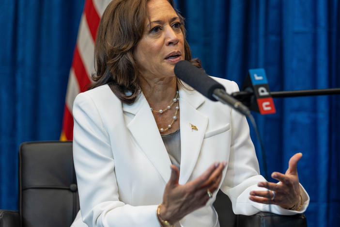 Vice President Harris talked with NPR's Michel Martin about her work, her thoughts on the high court's ruling and the 2024 election.