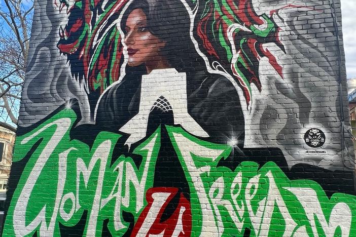 Mahsa Amini peers out from a mural by Rodrigo Pradel that covers an entire building side in a Washington, D.C. alley. Amini's death in police custody in Iran last year led to protests and a revolutionary movement.