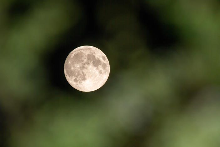 The Flower Moon is seen through trees in May 2021 in Amesbury, United Kingdom.
