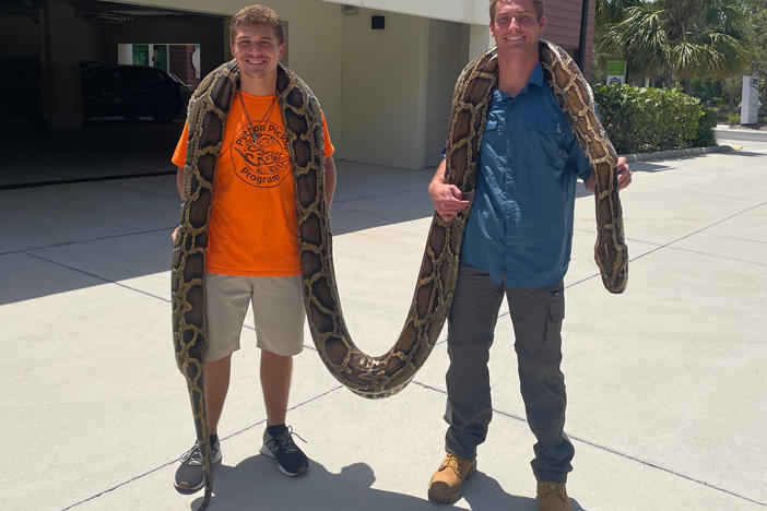 Stephen Gauta (left) and Jake Waleri brought the 19-foot python to the Conservancy of Southwest Florida in Naples, Fla., to have it measured and donated for studies.
