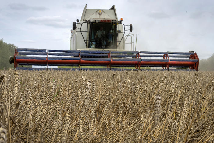 A harvester collects wheat in Ukraine, on Aug. 9, 2022. On Monday, Russia suspended its participation in a wartime deal brokered by the U.N. and Turkey that was designed to move food from Ukraine to parts of the world where millions are going hungry.
