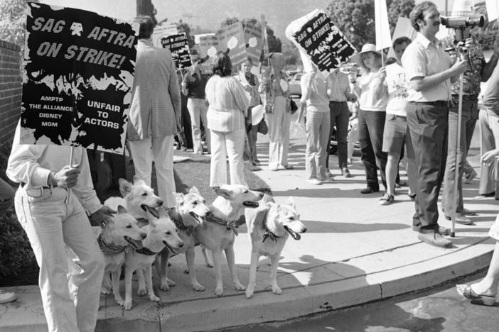 Dogs trained for movie roles get ready to march in a SAG picket line around Disney Studios in Los Angeles on Aug. 21, 1980.