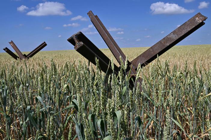 Anti-tank obstacles on a wheat field at a farm in southern Ukraine's Mykolaiv region. The country's grain exports were curtailed this week when Russia pulled out of a deal that allowed grain-laden ships to sail out of Ukrainian ports.