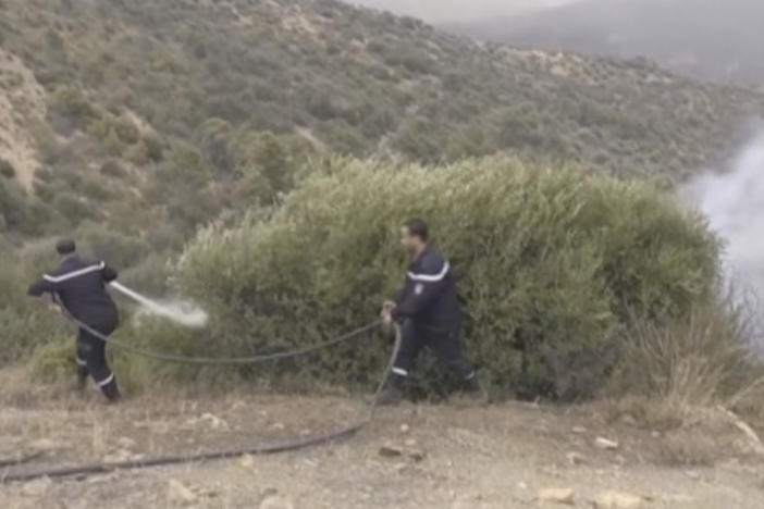 In this image taken from video, a wildfire burns in Zbarbar, Bouira Province, Algeria, Monday, July 24, 2023.