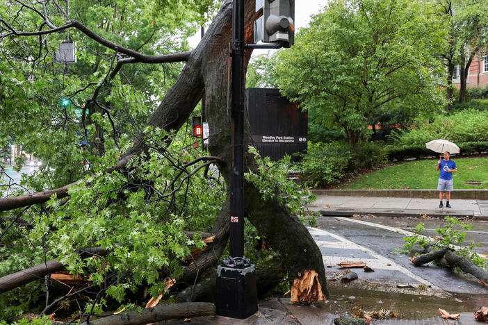 A man holding an umbrella stands near a fallen tree during stormy weather in Washington, D.C., on Monday.