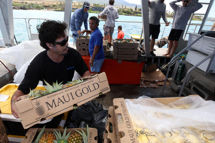 Volunteers stack boxes of pineapple that will be transferred to shore by a small boat on Aug. 14, 2023, in Kaanapali, Hawaii. Volunteers are continuing to bring much needed supplies to the West Maui area.