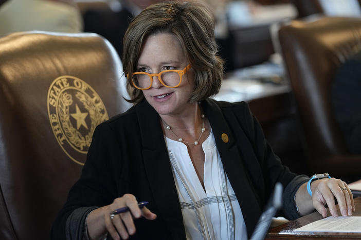 Rep. Ann Johnson, a Democrat from Houston, authored a Texas law that doctors say will be life-saving for women with two pregnancy complications. She worked across the aisle with the author of S.B. 8.