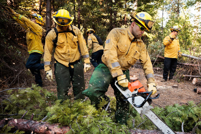 Members of the California National Guard's Task Force Rattlesnake clear brush and small trees to reduce the likelihood of a high-intensity wildfire.