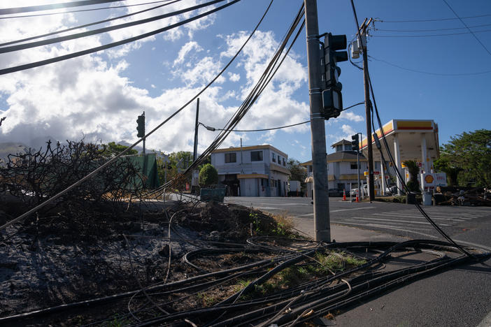 Electrical wires and telephone poles were downed in Lahaina, Hawaii, after the deadly wildfires. Maui County has filed a lawsuit targeting Hawaiian Electric Co., or HECO, and several of its subsidiaries, seeking "punitive and exemplary damages" and to recoup costs and loss of revenue from the fires.