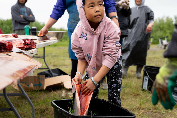 Students from the Yupiit School District learn how to prepare freshly caught salmon.