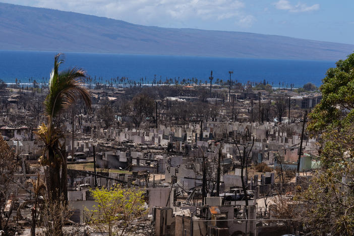 The extreme wildfire that hit Lahaina burned all the way to the coast. As the cleanup continues, rainstorms could wash toxic runoff into the ocean.