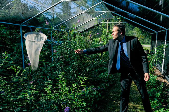 John Wahl, 37, is the youngest GOP state party leader in the country. He also runs a business as a butterfly farmer in Athens, Ala. "This is me, the chairman of the Alabama Republican Party, in his natural habitat," he told NPR during a visit to his butterfly farm.