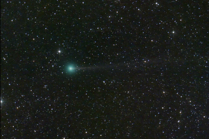 Meet the comet Nishimura.