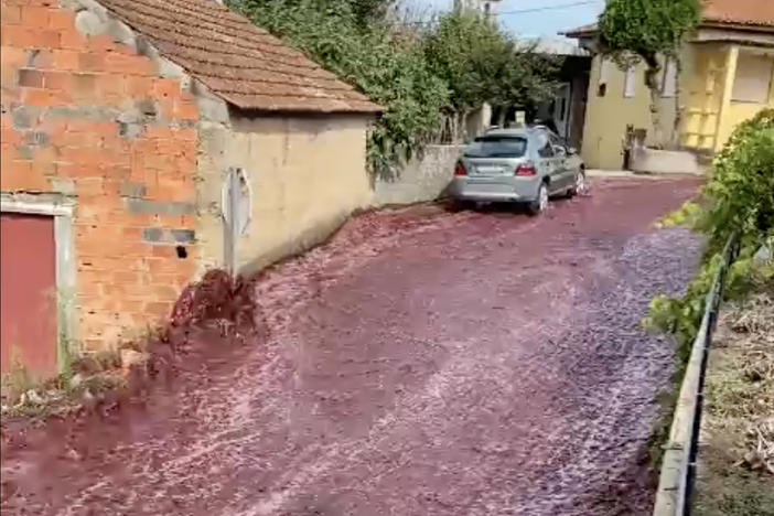 A "river of wine" cascaded down the streets of a small town in Portugal, after two large tanks ruptured at a nearby distillery.