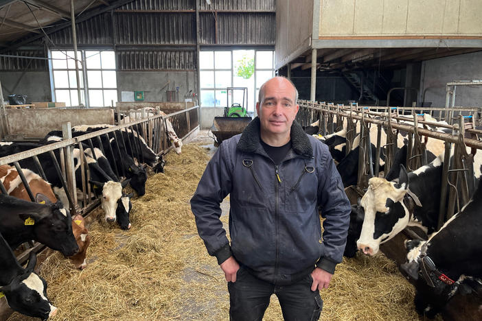 Farmer Wilbert van der Post is worried that the Dutch government's new nitrogen reduction rules will force him, a fourth-generation farmer, out of business. He plans to vote for the Farmer-Citizens Movement, known in the Netherlands by its acronym, BBB, on election day in November.