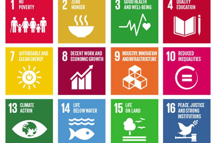 The United Nations Sustainable Development Goals (SDGs) to achieve by 2030.