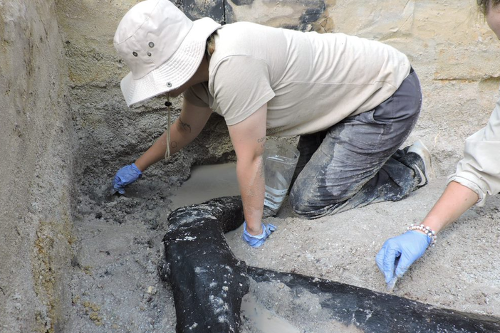 Archaeologists dug into a riverbank in Zambia and uncovered what they call the earliest known wood construction by humans. The half-million year-old artifacts could change how we see Stone-Age people.