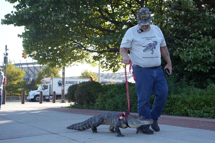 Joie Henney and his emotional support alligator, Wally, were denied entry to a Phillies' game at Citizens Bank Park on Wednesday — but hope to be invited back soon.