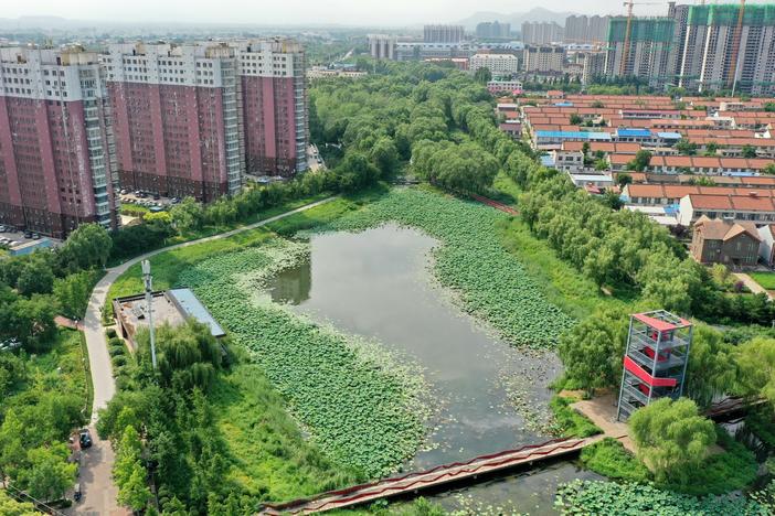 This natural pond helps reserve precipitation in the ecological corridor of Qian'an, a city in China's Hebei province. Like many other Chinese cities, Qian'an used to fall victim to urban flooding during rainy seasons. But things have changed since 2015, when the city was included in a national pilot program for "sponge city" construction.