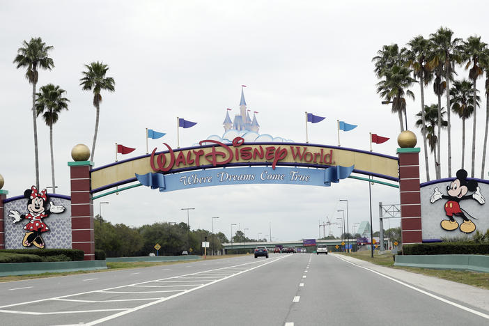 A woman has sued Walt Disney Parks and Resorts for negligence, claiming a ride down a water slide at Florida's Disney World left her severely injured.