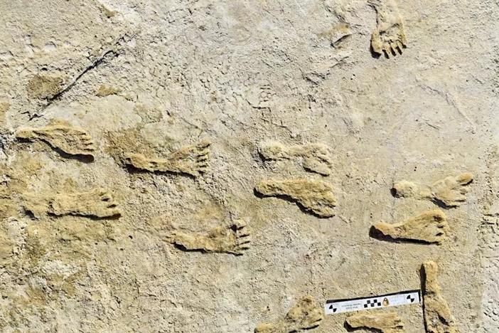 Scientists studying fossil human footprints in New Mexico say their age implies that humans arrived in North America earlier than thought.