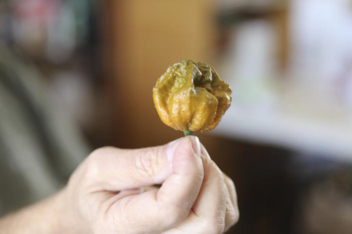 A Pepper X pepper is shown earlier this month in Fort Mill, S.C.