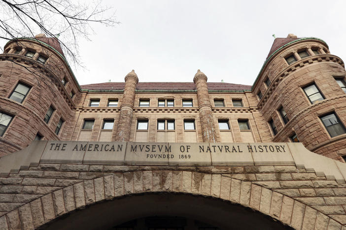 New York's American Museum of Natural History plans to improve its stewardship of thousands of human remains in its collection.
