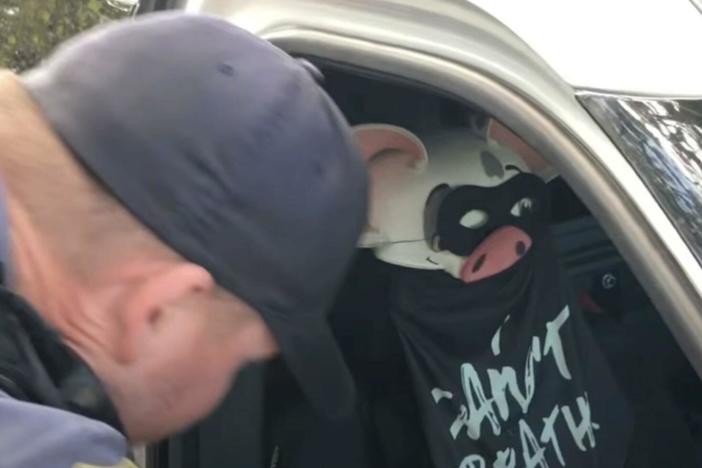 The Alexandria Police Department in Virginia says it's investigating a display of a pig wearing an "I Can't Breathe" shirt inside one of its police cruisers. The <a href="https://www.youtube.com/watch?v=sDs1CTkmKN8">video</a>, posted to YouTube, shows the discovery of the police cruiser and the materials inside.