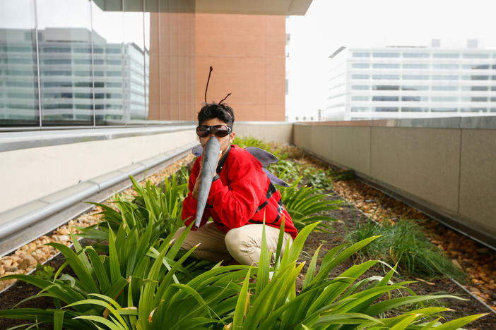 This former NPR intern shows off our mosquito costume. He'd no doubt rather bite into candy corn than a human arm.