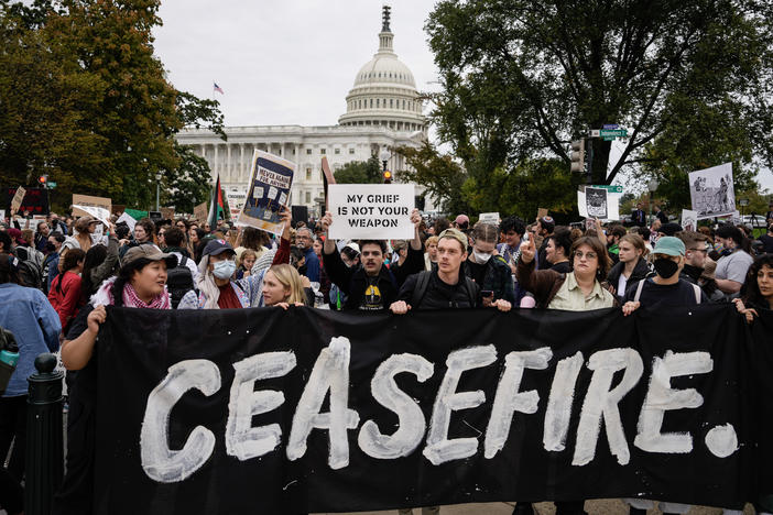 Demonstrators rally to demand a cease-fire against Palestinians in Gaza on Independence Avenue near the U.S. Capitol last month in Washington, D.C.