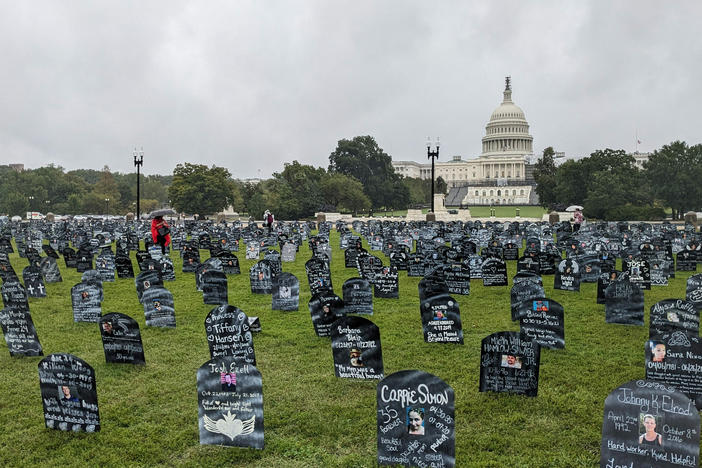 Last year, more than 100,000 Americans died of drug overdoses. Advocates and family members marked the tragic toll with cardboard grave markers on the lawn of the U.S. Capitol on Sept. 23.