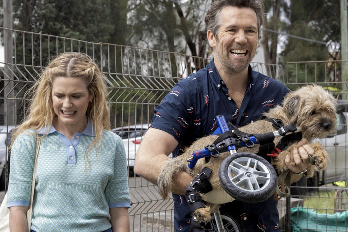 Ashley and Gordon (Harriet Dyer and Patrick Brammall) bond over an injured border terrier in <em>Colin from Accounts.</em>