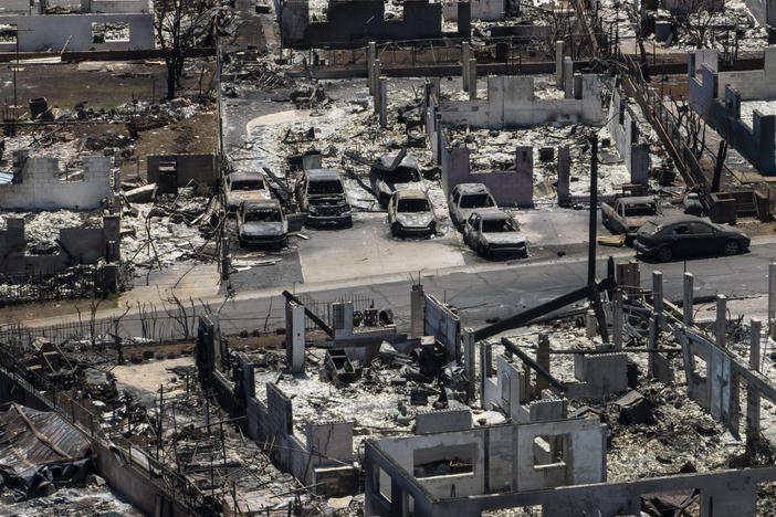 The Aug. 8 fire ravaged much of the historic town of Lahaina in West Maui, killing nearly 100 people. In all, more than 2,200 structures were destroyed by the blaze.