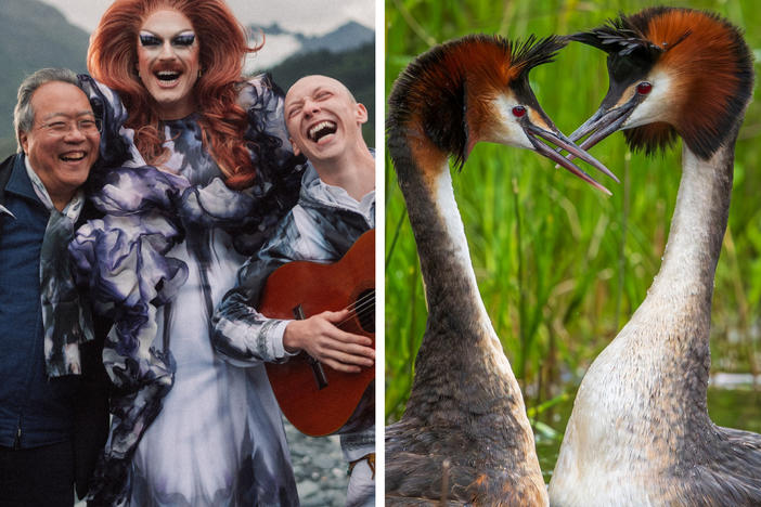 From left: eco trio, weird bird