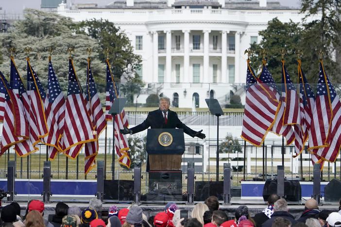 Then-President Donald Trump speaks at a rally on the Ellipse in Washington, D.C., on Jan. 6, 2021.