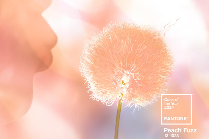 An influential color consultancy has already set the tone for the year ahead: Pantone's Color of the Year for 2024 is Peach Fuzz.