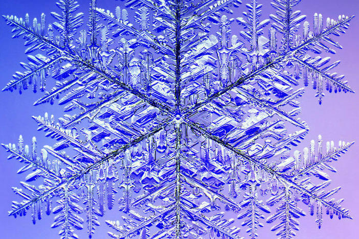 This 10.0 mm (0.4 inches) monster snowflake holds the Guinness record for the largest snow crystal. A microscope was used to photograph it in four quadrants, which were later digitally recombined.