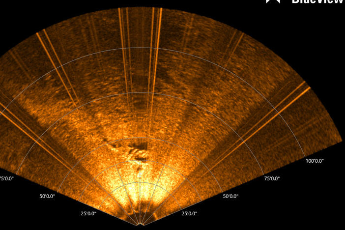 Sonar image presumed to be of the George L. Newman shipwreck