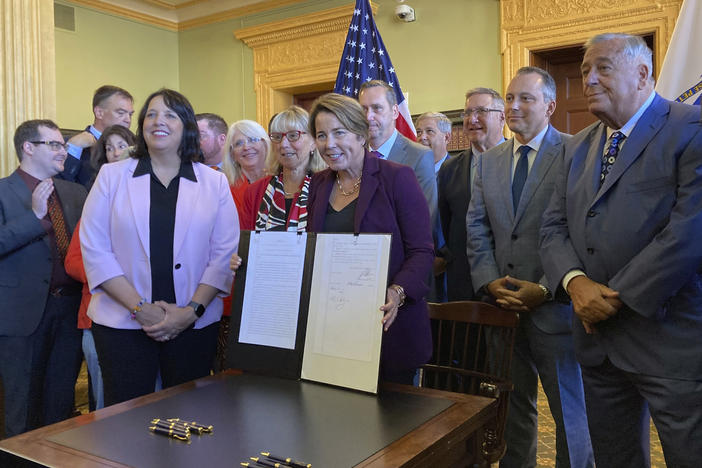 Massachusetts Gov. Maura Healey signed a tax relief package on Oct. 4. Among other things, it expanded a child and family tax credit.