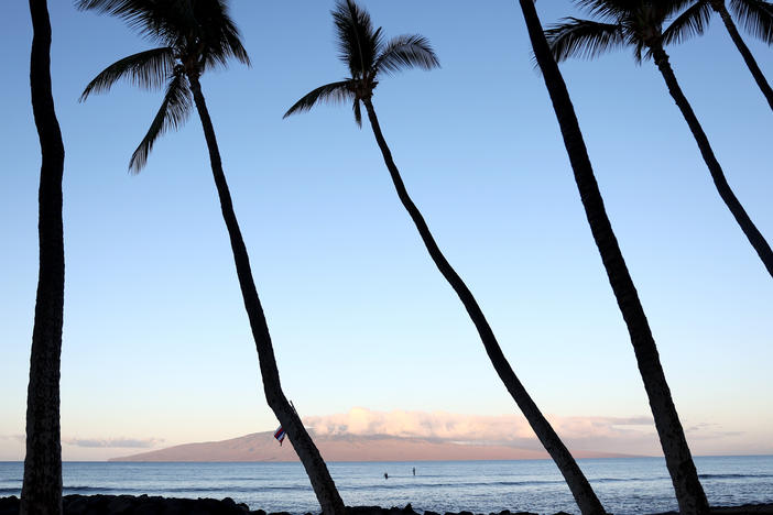 People surf off of Launiupoko Beach Park near Lahaina, Hawaii, in October. A surfer died after encountering a shark on Maui on Saturday.