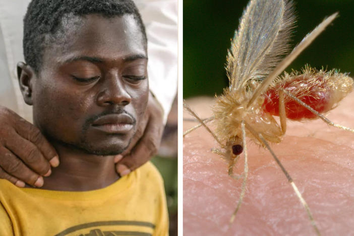 Left to right: Alexis Mukwedi tested positive for sleeping sickness in the Democratic Republic of the Congo. A sandfly, whose bite can spread the parasite causing visceral leishmaniasis, lands on the photographer for a blood meal. A woman in Vietnam receives an eye exam to see if she has trachoma, which can cause blindness. Last year several countries eliminated the threat from this disease.