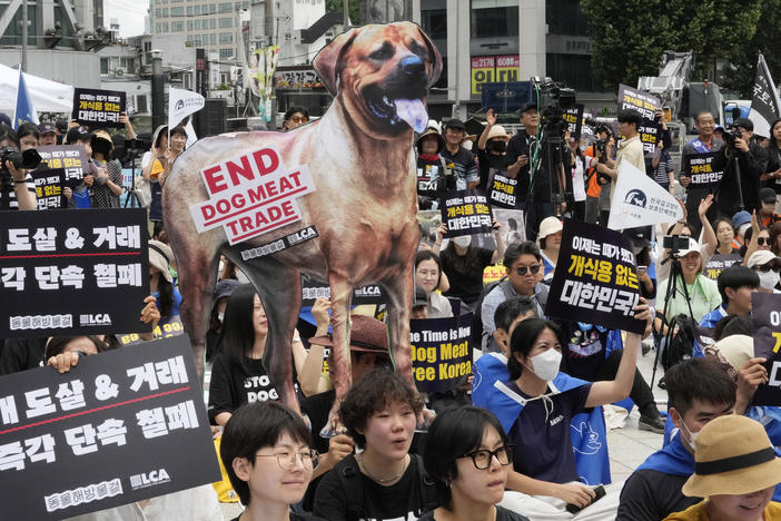 Animal rights activists stage a rally opposing South Korea's traditional culture of eating dog meat in Seoul, South Korea on July 8, 2023.