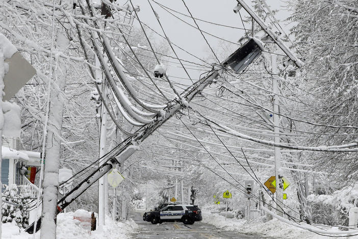 To prepare for a potential power outage, make sure you have backup power sources and an emergency plan in the event of a prolonged blackout, say experts.